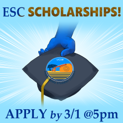 ESC Scholarships 2024